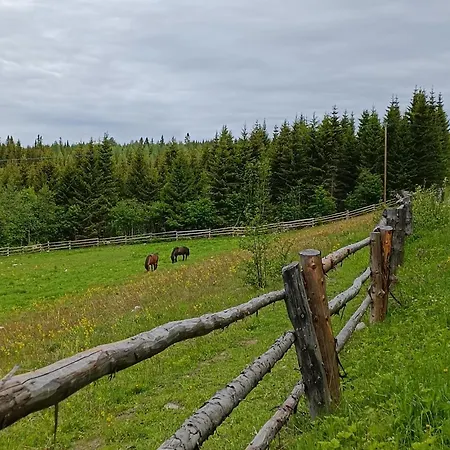 Kolilla Oy, Purnutar B