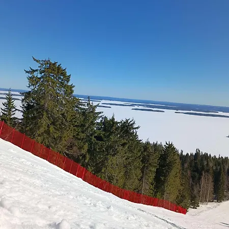 Kolilla Oy, Purnutar B *