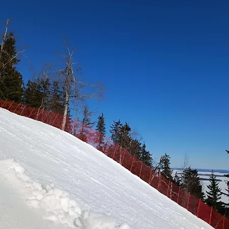 Kolilla Oy, Purnutar B Apartamento