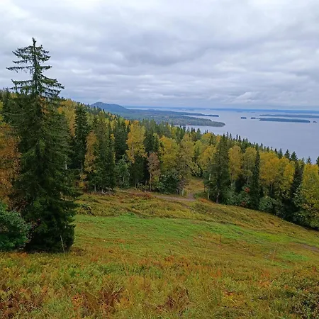 Kolilla Oy, Purnutar B شقة Kolinkylä
